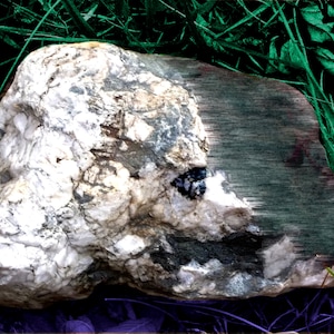 our Geiger lunch-Counter (interdimensional fossil afterimage) - Digital Unfixed Collage/Photo Manipulation/Photo Print
