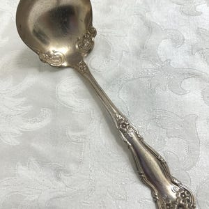 May include: A silver-toned metal ladle featuring an ornate handle with embossed floral details and scrollwork. The bowl of the ladle has a smooth, rounded shape with decorative flourishes where it connects to the long, slender handle.