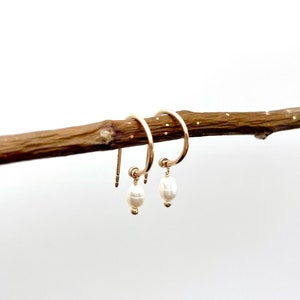 Eloi Earrings