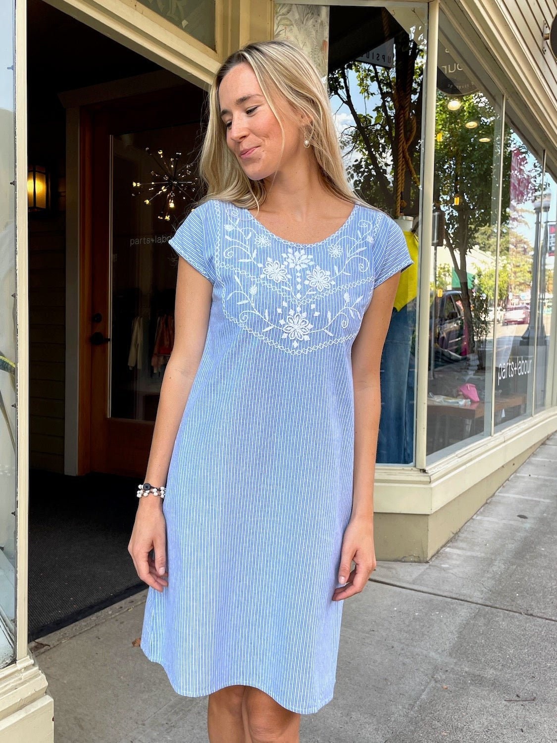 blue and white shift dress Marina Shift Dress