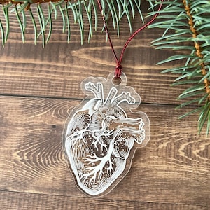 Anatomical Human Heart Tree Ornament Clear Christmas holiday gift for Cardio Doctors, Nurses, Med Students, Scientists, and Patients image 1