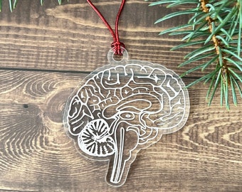 Human Brain Christmas Tree Ornament- Anatomical Art gift for Doctors, Nurses, Medical Techs, Students, Neurodivergent, and Psychologists