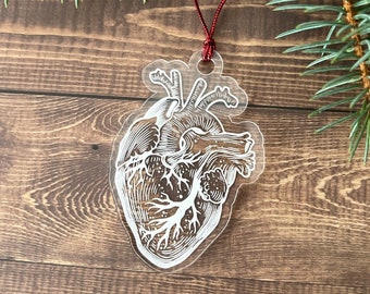 Anatomical Human Heart Tree Ornament - Clear Christmas holiday gift for Cardio Doctors, Nurses, Med Students, Scientists, and Patients