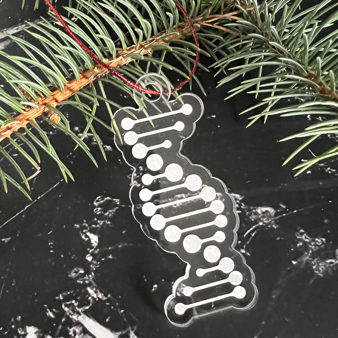 DNA Double Helix Christmas Ornament Great Gift for Teachers, Students
