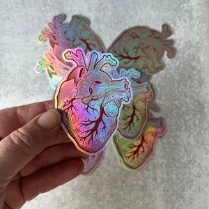 Anatomical Human Heart Holographic Sticker - Great Doctors, Nurses, Med Students, and Teachers