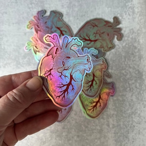 Anatomical Human Heart Holographic Sticker - Great Doctors, Nurses, Med Students, and Teachers