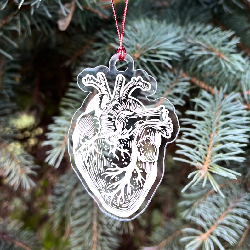 Anatomical Human Heart Tree Ornament Clear Christmas holiday gift for Cardio Doctors, Nurses, Med Students, Scientists, and Patients image 3