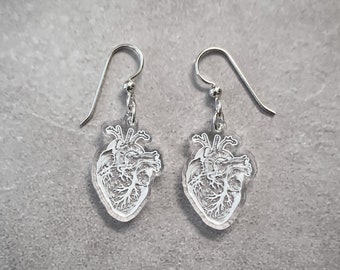 Anatomical Human Heart Earrings - Gift for Doctors, Nurses, Medical Students, Teachers, Lovers