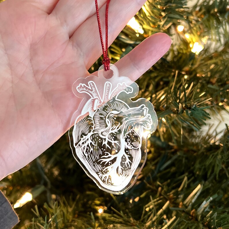 Anatomical Human Heart Tree Ornament Clear Christmas holiday gift for Cardio Doctors, Nurses, Med Students, Scientists, and Patients image 2