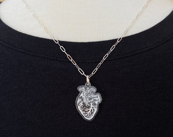 Anatomical Human Heart Pendant Necklace- Great Valentine's Gift for Doctors, Nurses, Medical Students, Teachers, Lovers