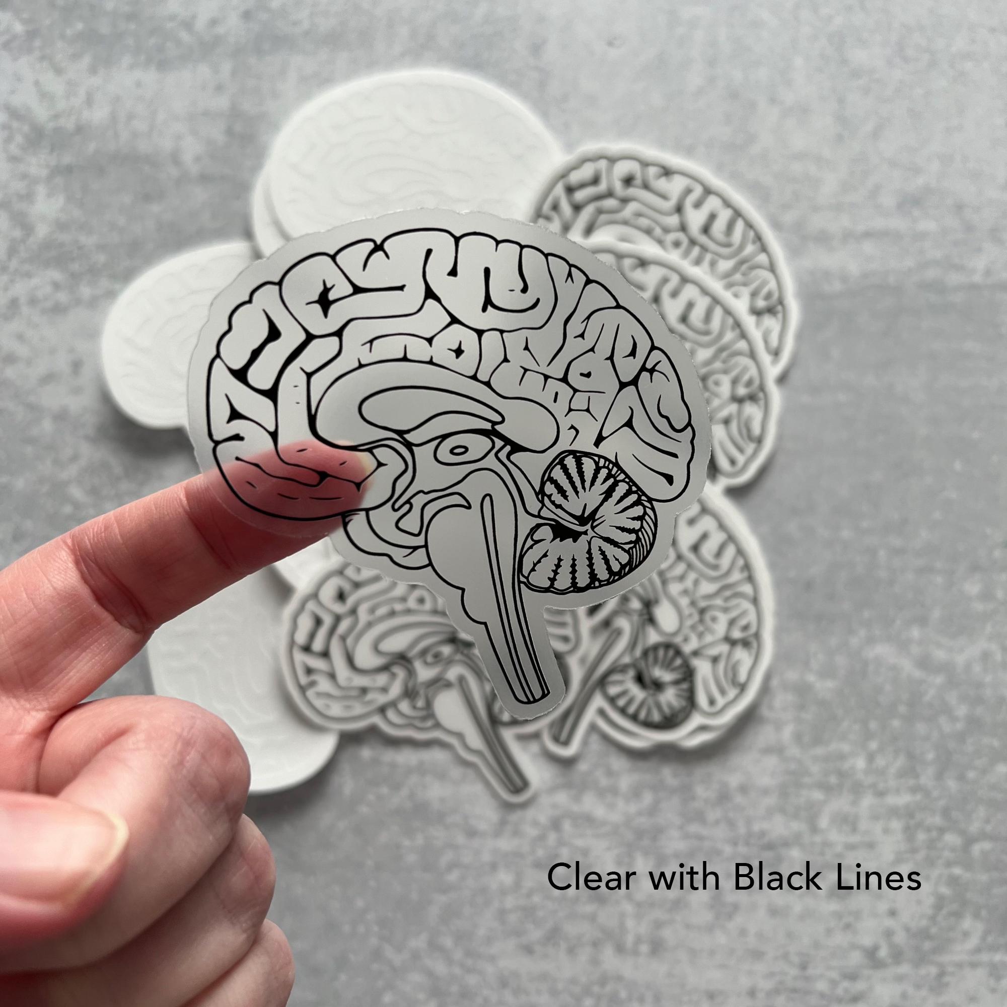 Anatomical Human Brain Sticker: Perfect Gift for Medical Professionals ...