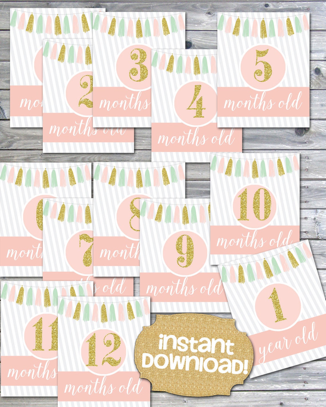INSTANT DOWNLOAD Baby Month Signs Girl Milestone Photo | Etsy