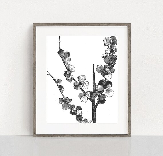 Vintage Leaf Printable Black And White Vintage Plants Etsy