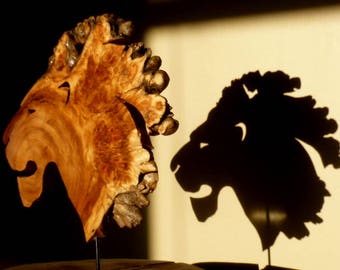 Lion, hand carved wooden abstract sculpture of roaring lion from live edge burl slab