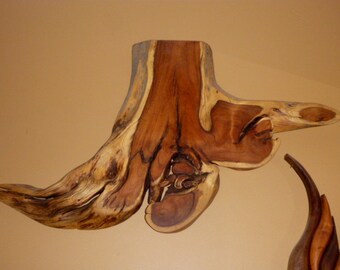 burled live edge slab wall hanging sculpture, hollowed, one of a kind