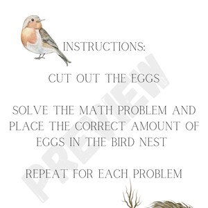 Math Activity Bird Nest