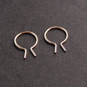 May include: A pair of small, gold hoop earrings with a simple, open design.