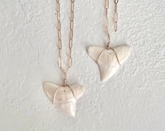 White Shark Tooth Necklace