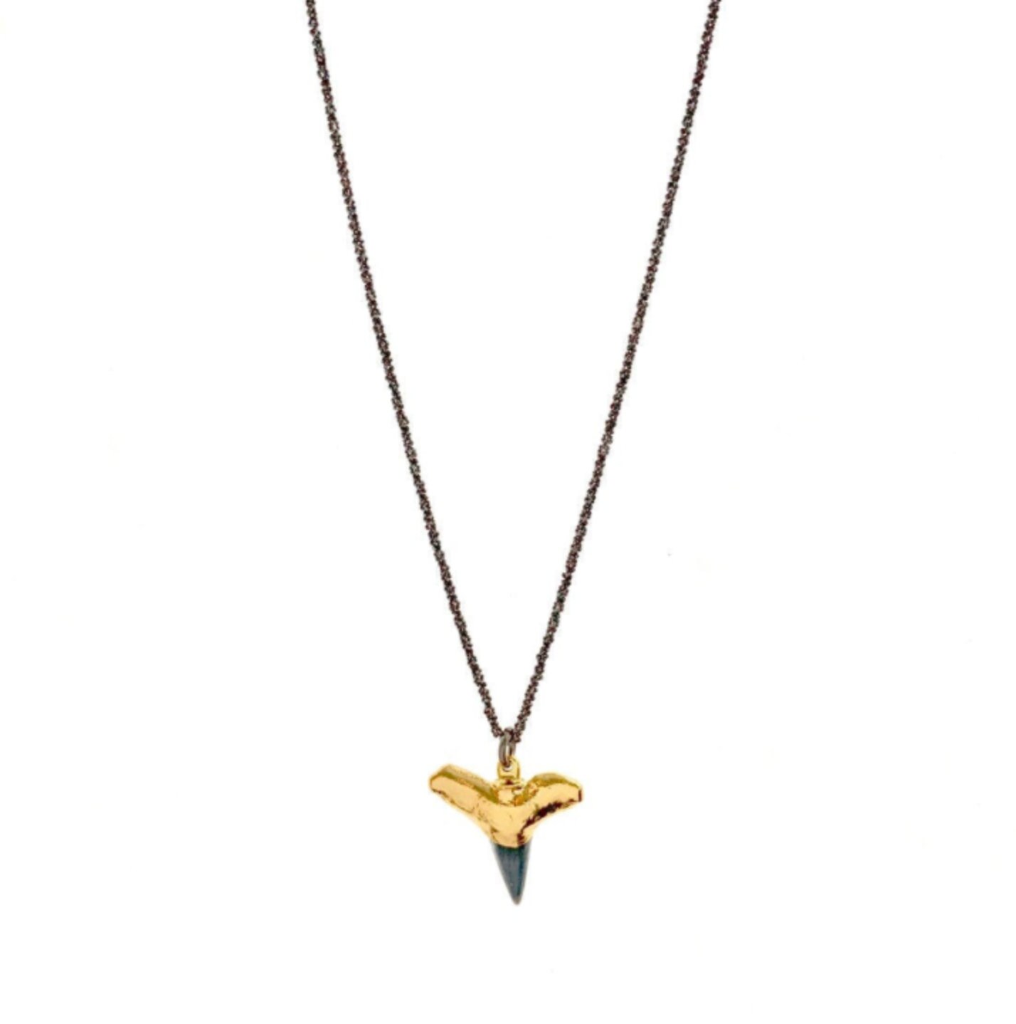 Collector Quality hastalis (extinct Mako) Shark Tooth Necklace · L1: 1.51  L2: 1.50 · MegaTeeth