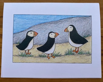 Puffins, Blank Greeting Card