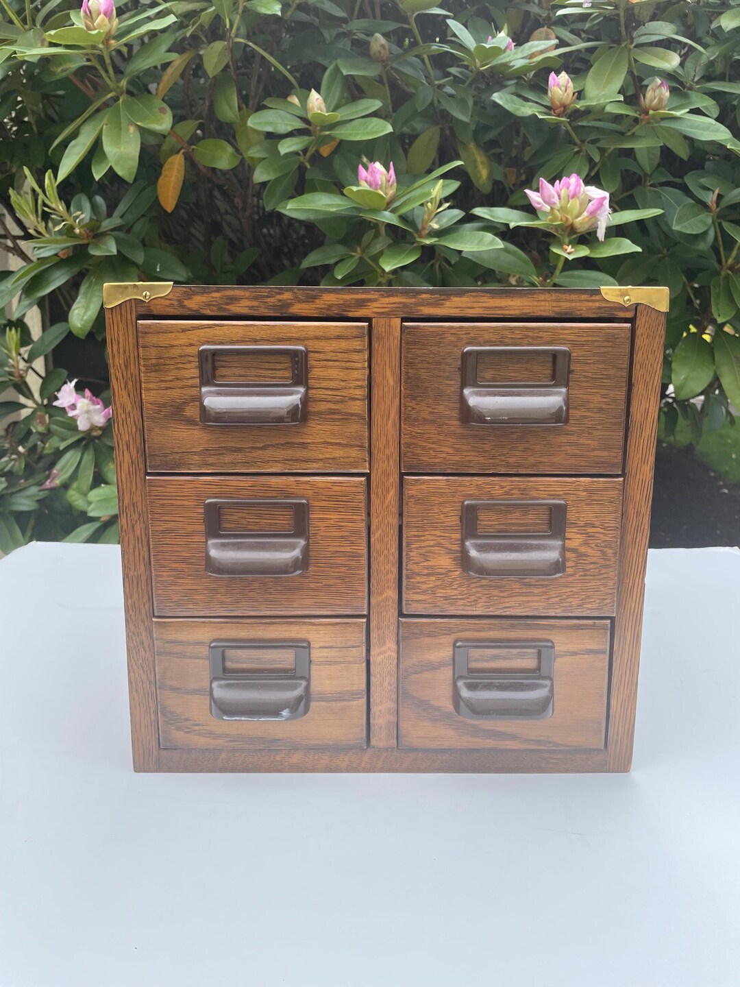 Vintage Globe Wernicke Library Wood Card Catalog File With