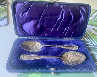 Victorian English Fruit Spoons Leatherette Box Embossed Floral Spoon Matching Antique Set 1900's era