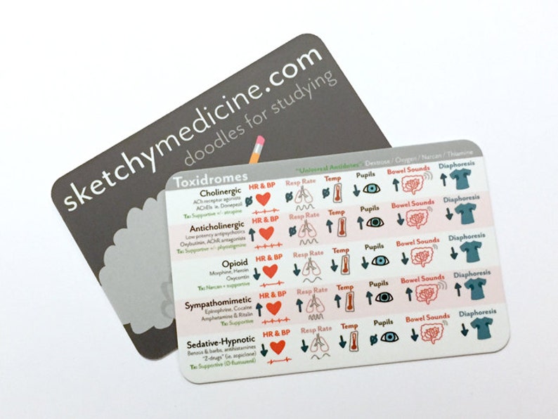 The New Set of Pocket Cards 5 Etsy