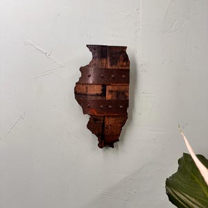 1&#39; Illinois State Bourbon Barrel Wood Cutout with Rings
