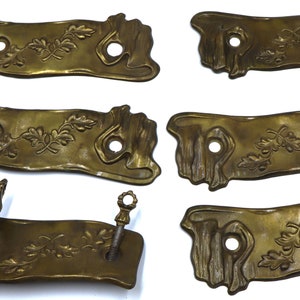 Könnte beinhalten: Sechs antike Messing-Schubladengriffe mit verzierten Blumendesigns und zwei Schrauben. Die Griffe sind rechteckig mit abgerundeten Kanten und haben eine leicht strukturierte Oberfläche.