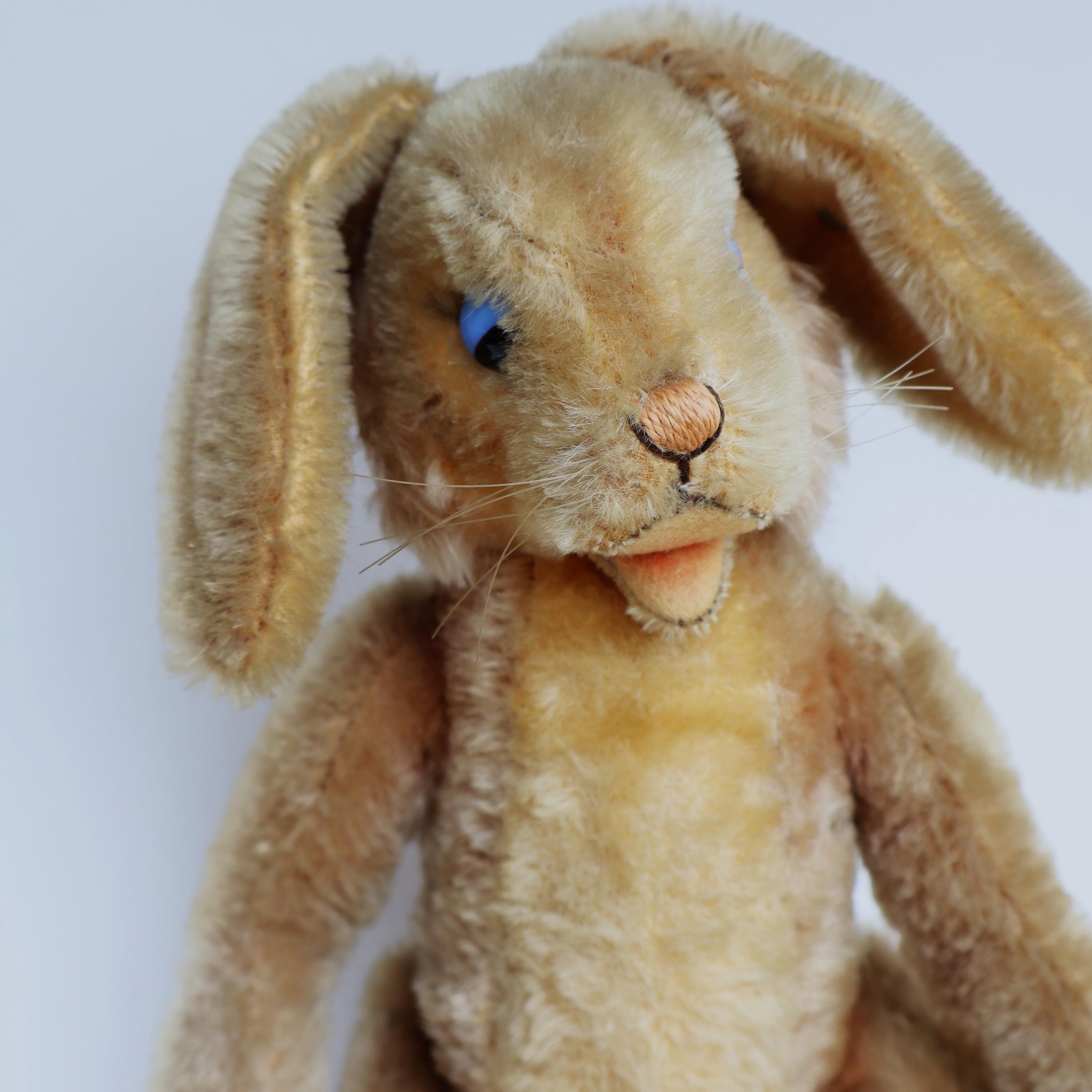 シュタイフ/Steiff◆アニマル◆「Lauscher 大きなたれ耳うさぎ　ベージュ」◆23ｃｍ hM110L シュタイフ Steiff Lizzy シロクマ しろくま 20cm - メルカリ