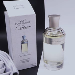 Cartier Must Pour Homme - Etsy