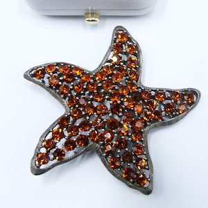 Vintage signed Weiss silver tone & brown rhinestone star pin brooch