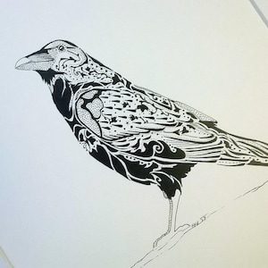 Raven - A4 Wildlife Print in Folk Pattern Detailing With Mount - Black ...