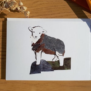 Biglietto di auguri per pecore Herdwick con busta vuota all'interno