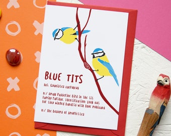 Funny Valentine's Card BLUE TITS Naughty Valentine Day Love Rude Pun Bird Watching Twitcher Nature Lover Geek Valentines Gift Definition
