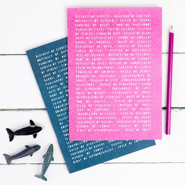 ANIMAL NOUNS NOTEBOOK Educational Collective Grammar Pink Teal Colour Plain Pages Stationery Geeks Back to School Teacher Gift for Her