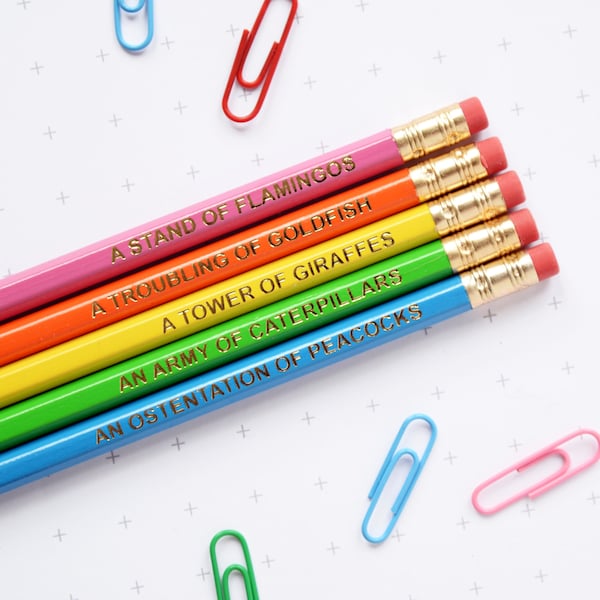 BRIGHT ANIMAL NOUNS Pencils Set. Back to School Collective Grammar Colour Stationery Gift For Him Her Thank You Teacher  Present Filler Neon