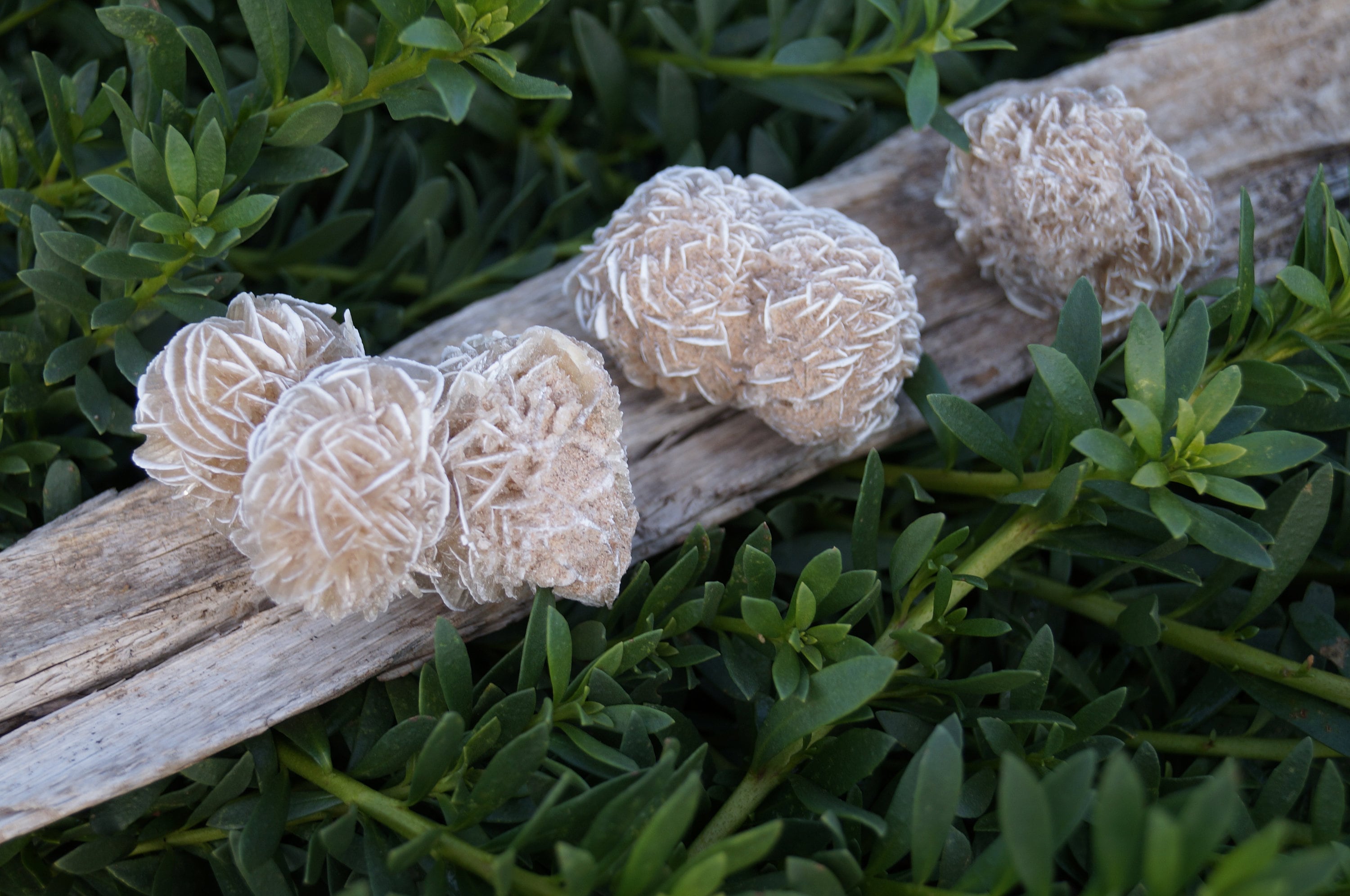 Desert Rose Selenite Crystal - Etsy Australia
