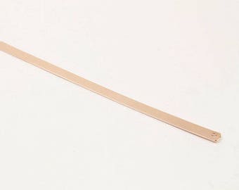 May include: A thin, flat, light brown metal strip with a small hole at one end.