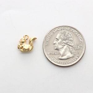 May include: A gold-colored squirrel charm with a nut in its paws. The charm is about the size of a US quarter.