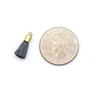 May include: A small gray tassel with a gold metal top. The tassel is about the size of a US quarter.