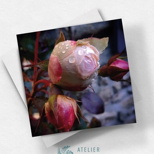 Carte postale carrée Rose d'hiver - Qualité Soft Touch