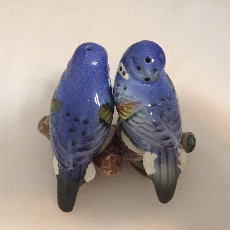 Shafford Bluebird Blue Bird Salt and Pepper Shakers Branch Ceramic Kitsch Vintage Made in Japan Birdie Finch?