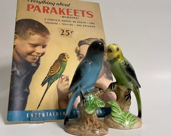 Könnte beinhalten: Zwei Keramik-Papageienfiguren, eine blaue und eine grüne, auf Ästen mit grünen Blättern sitzend. Die Figuren stehen vor einem Vintage-Buch mit dem Titel "Alles über Sittiche (Wellensittiche)" mit einem Preis von 25 Cent.