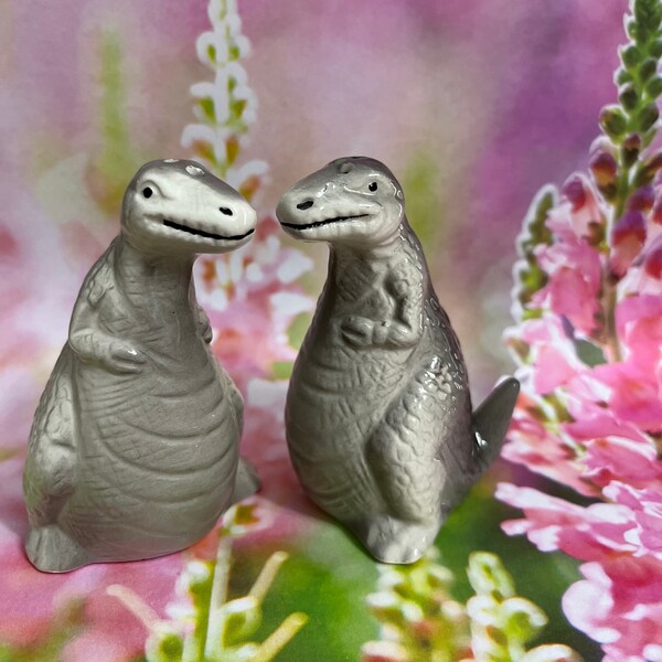 Anthropomorphic Salt and Pepper Shakers Etsy