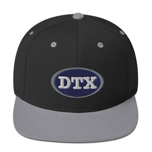 May include: A black and gray fitted baseball cap with a blue oval patch that says "DTX" in white lettering.