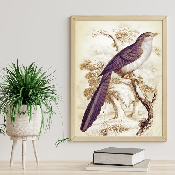 Bird on a Branch, Digital Artwork, Antique Bird Illustration, Bird on a tree Branch, Tree Bird Poster