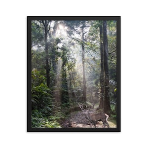 Sonnendurchflutetes Waldreh, Wildtier gerahmte Kunst, sonnenbeschienenes Waldkunstwerk, Hirsch gerahmte Wandkunst, Sonnenlichtwalddruck