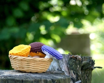 Set of three Crochet Mushrooms - Boletus, Chanterelle, Russule - Autumn Forest Goods - Kitchen decor