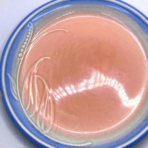 Plato Dura-Tone de 8" de Pacific Pottery